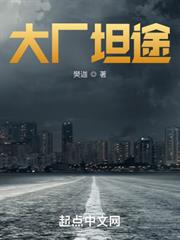 大廠坦途 大廠坦途