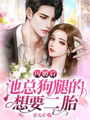 閃婚後,池總狗腿的想要二胎 閃婚後,池總狗腿的想要二胎