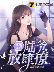 寵婚入骨,陸爺放肆撩 寵婚入骨,陸爺放肆撩