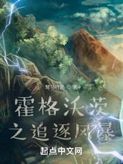 霍格沃茨之追逐風暴 霍格沃茨之追逐風暴