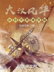 大漢風華從掃平西域開始 大漢風華從掃平西域開始