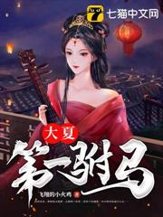 大夏第一駙馬 大夏第一駙馬