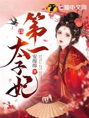 第一太子妃 第一太子妃