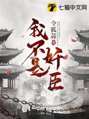我不是奸臣 我不是奸臣