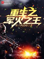重生之軍火之王 重生之軍火之王