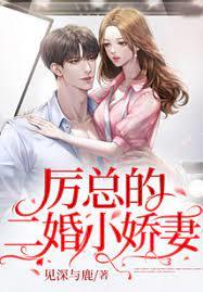 厲總的二婚小嬌妻 厲總的二婚小嬌妻