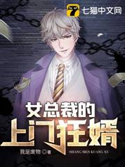 女總裁的上門狂婿