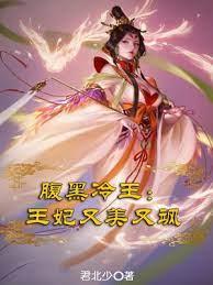 腹黑冷王王妃又美又颯 腹黑冷王王妃又美又颯