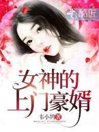 女神的上門豪婿趙旭李晴晴 女神的上門豪婿趙旭李晴晴