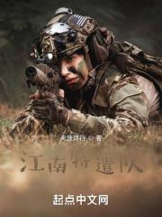 江南特遣隊 江南特遣隊