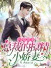 閃婚甜寵,總裁的撩精小嬌妻 閃婚甜寵,總裁的撩精小嬌妻