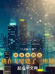 開發大西北:我在戈壁建了一座城 開發大西北:我在戈壁建了一座城