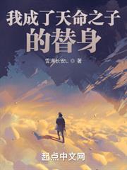 我成了天命之子的替身 我成了天命之子的替身
