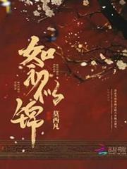 如初似錦 如初似錦