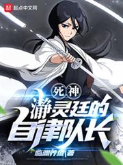 死神:瀞靈廷的自律隊長 死神:瀞靈廷的自律隊長