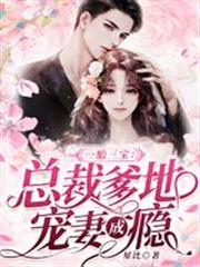 一胎三寶:總裁爹地寵妻成癮 一胎三寶:總裁爹地寵妻成癮