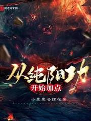 從純陽功開始加點 從純陽功開始加點