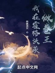 我在霍格沃茨做卷王 我在霍格沃茨做卷王