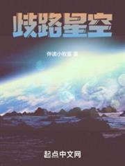 歧路星空 歧路星空