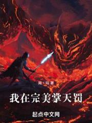 我在完美掌天罰 我在完美掌天罰