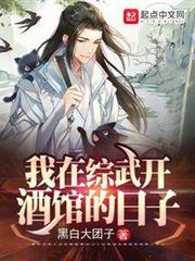 我在綜武開酒館的日子 我在綜武開酒館的日子