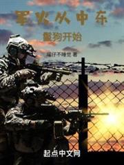軍火從中東鬣狗開始 軍火從中東鬣狗開始