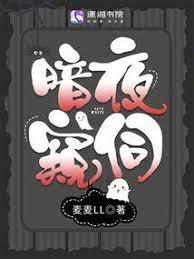 暗夜窺伺 暗夜窺伺
