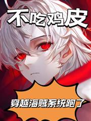 穿越海賊系統跑了 穿越海賊系統跑了