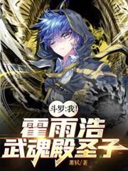 斗羅:我!霍雨浩,武魂殿聖子 斗羅:我!霍雨浩,武魂殿聖子