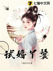 試婚丫鬟 試婚丫鬟