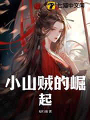 小山賊的崛起 小山賊的崛起