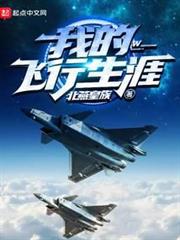 我的飛行生涯 我的飛行生涯