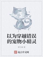 以為穿越錯誤的寵物小精靈 以為穿越錯誤的寵物小精靈