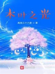 木葉之光 木葉之光