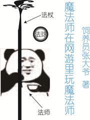 魔法師在網遊里玩魔法師 魔法師在網遊里玩魔法師