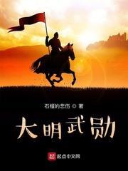 大明武勛 大明武勛
