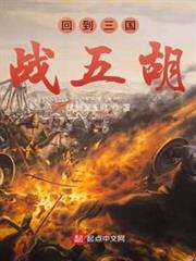 回到三國戰五胡 回到三國戰五胡