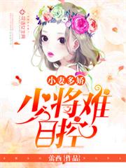小妻多嬌:少將難自控 小妻多嬌:少將難自控