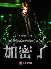 我的小說被S級加密了 我的小說被S級加密了