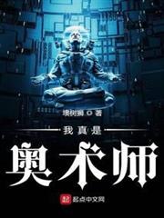 我真是奧術師 我真是奧術師