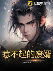 惹不起的廢婿 惹不起的廢婿
