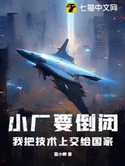 小廠要倒閉,我被迫拿出可控核聚變 小廠要倒閉,我被迫拿出可控核聚變