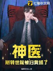 神醫:剛轉世就被掃黃抓了? 神醫:剛轉世就被掃黃抓了?