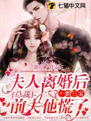夫人離婚後一胎三寶,總裁前夫他慌了! 夫人離婚後一胎三寶,總裁前夫他慌了!