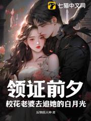 領證前夕,校花老婆去追她的白月光 領證前夕,校花老婆去追她的白月光