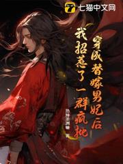 穿成替嫁男妃後,我招惹了一群瘋批 穿成替嫁男妃後,我招惹了一群瘋批