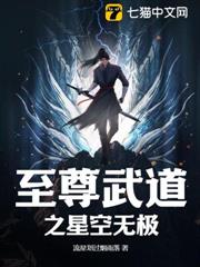 至尊武道之星空無極 至尊武道之星空無極
