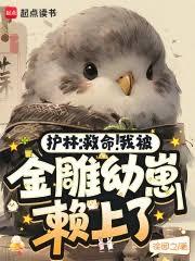 護林:救命!我被金雕幼崽賴上了 護林:救命!我被金雕幼崽賴上了