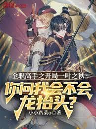 全職高手之開局一葉之秋! 全職高手之開局一葉之秋!