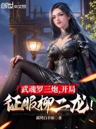 武魂羅三炮,開局征服柳二龍! 武魂羅三炮,開局征服柳二龍!